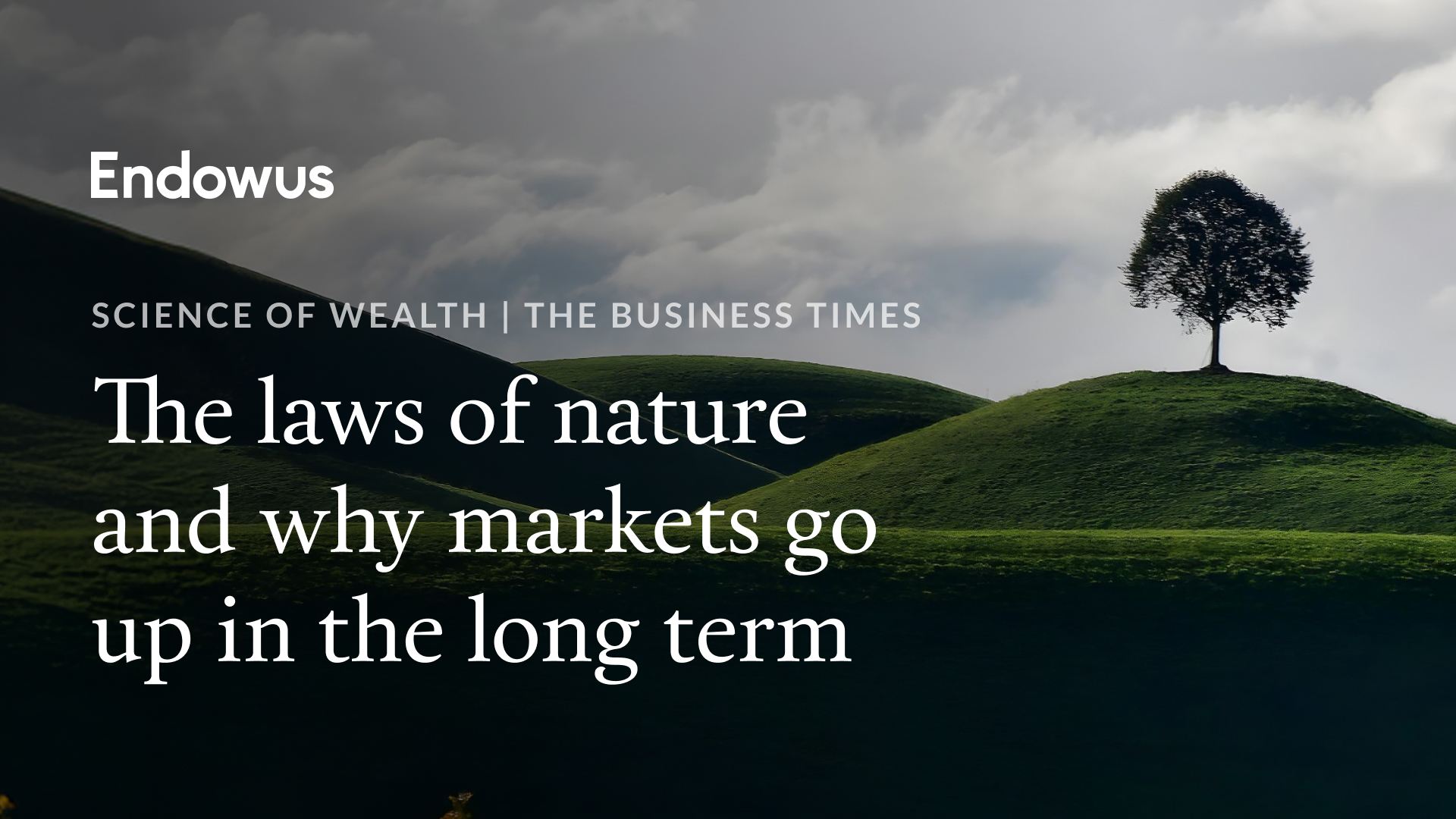 Single tree on a hill