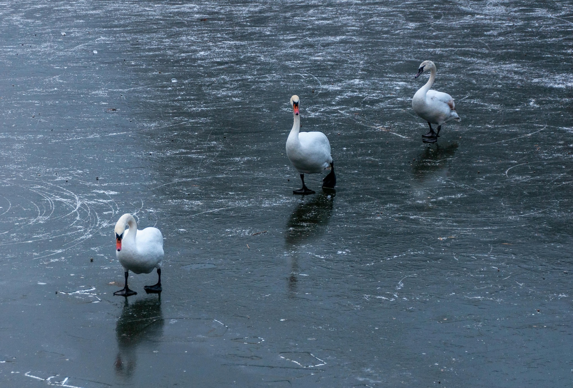 endowus november 2025 market commentary