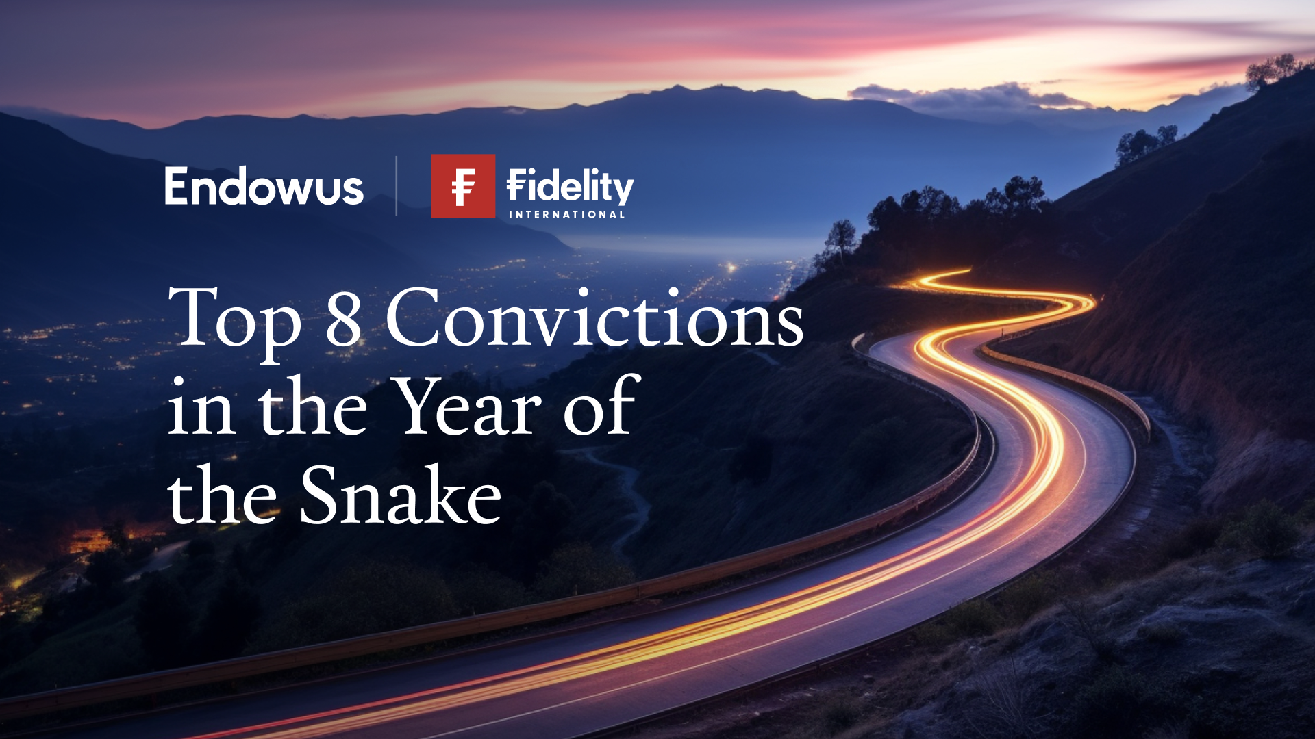 Fidelity 2025 Top Convictions